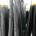 Vor 3 Milliarden Jahren begann mit Mikroalgen das Leben auf der Erde