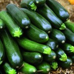 Vitamine, Mineralstoffe oder Sekundäre Pflanzenstoffe tragen dazu bei, dass wir gesund bleiben und uns fit und wohl fühlen.