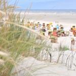 Wie bringt man seine Eltern zum Staunen? Indem man sich auf der Nordseeinsel Juist mal richtig schlau macht!