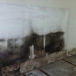 Sind die Wände einmal feucht, ist Schimmelbefall zu befürchten