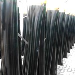 Klimawandel abwenden durch Algen