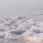 Rosafarbenes Meer-Badesalz SIVASH entsteht durch die natürliche Verdunstung der an Beta-Carotin reichen, rosa Sole und ist milder als einige Totes Meer Salze