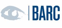 die BARC-Analysten vereinen Markt-, Produkt- und Einführungswissen.