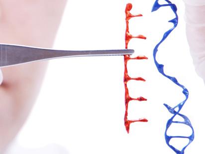 junge, gesunde Stammzellen