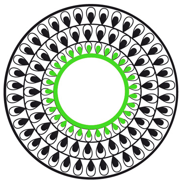 7 Schritte zum Erfolg