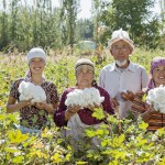 Baumwoll-Bauern in Kirgistan