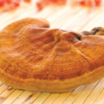 Pilze können auch bei Husten eingesetzt werden