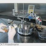 Stammzellkultivierung im Labor