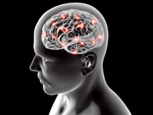 Zeichnung eines durchsichtigen Kopfes mit Gehirn
