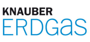 Logo in schwarz blau