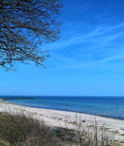 Sandstrand mit Baumkrone im Vordergrund