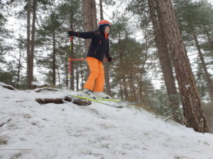 Skifahrerin im Wald