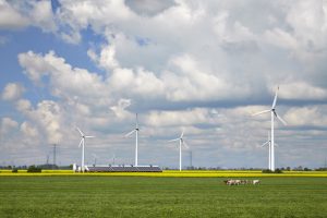 Windräder auf einer Wiese