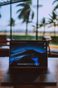 Laptop vor Palmen