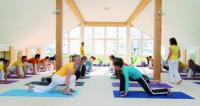 Studie zum Wesen des Yoga