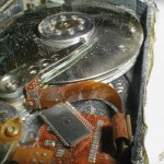 im Sommer setzen viele Gefahren der Elektronik zu