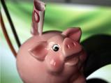 da freut sich das Sparschwein - ökologische Geldanlagen