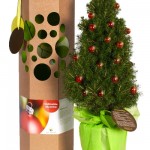 Das Bäumchen als Werbegeschenk ist eine Metapher für die Ziele und Botschaft Ihres Unternehmens an Ihre Geschäftsfreunde, Mitarbeiter, Kunden und Anteilseigner.  