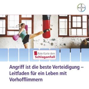 Broschüre mit einer Kickboxerin in Aktion