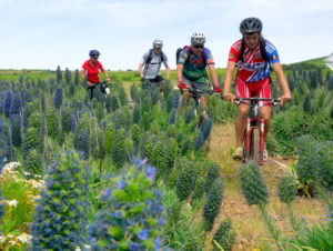 Biking Touren im Urlaubsgebiet