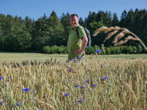 Mann im Kornblumenfeld