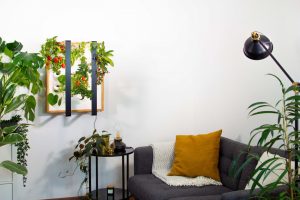 Indoor-Garten als Bild an der Wand