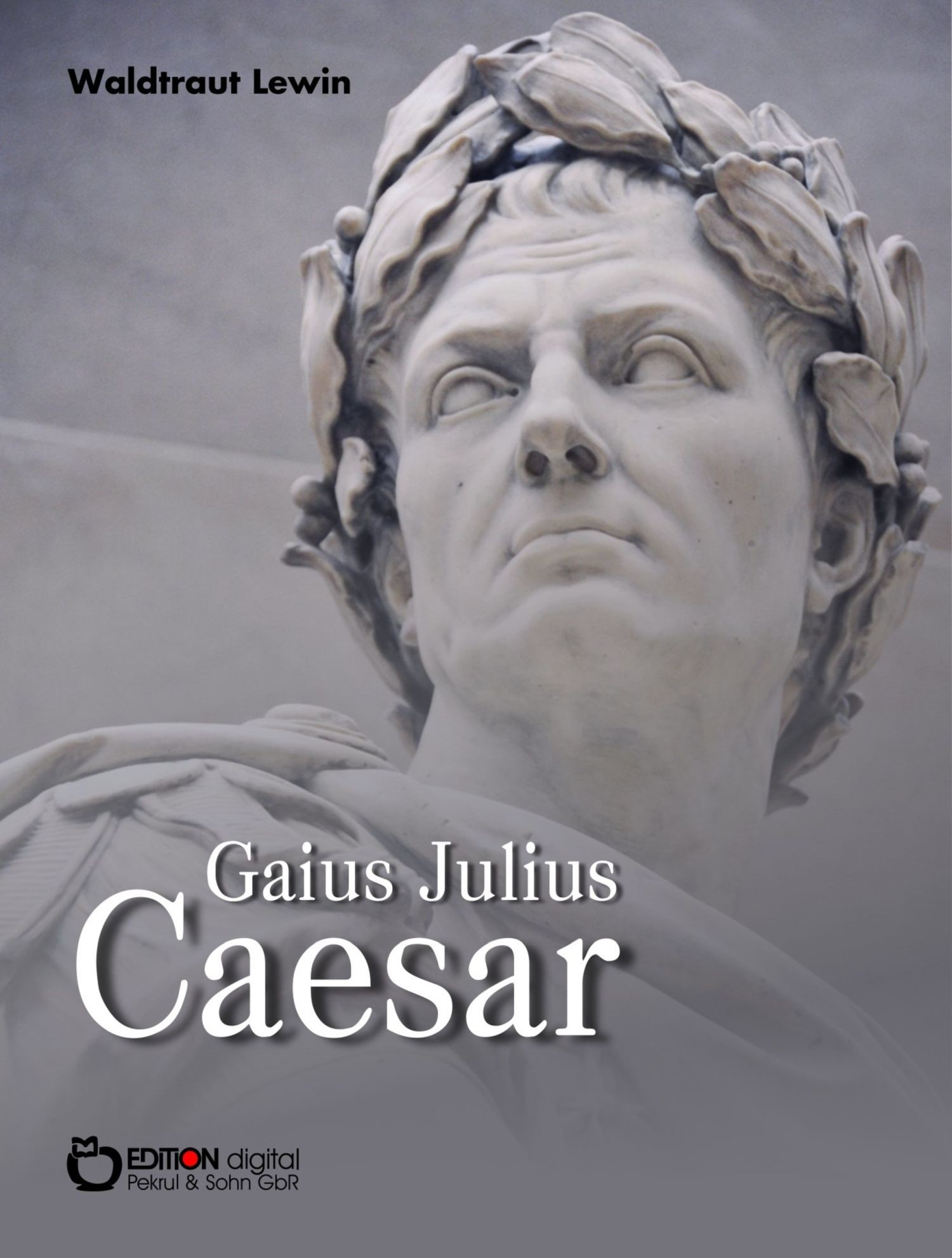 Gaius Julius Caesar ePUB eBook kaufen Ebooks Biografie Geschichte