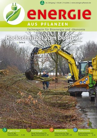 energie aus pflanzen energie aus pflanzen