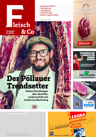 Fleisch & Co