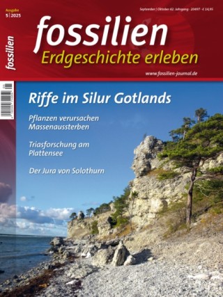 Fossilien - Erdgeschichte erleben
