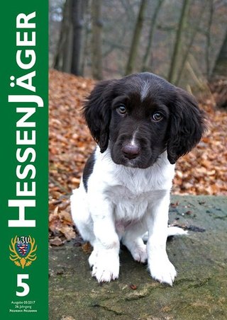 HessenJäger HessenJäger