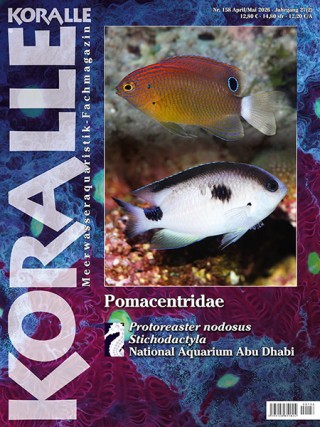 KORALLE - Meerwasseraquaristik-Fachmagazin KORALLE - Meerwasseraquaristik-Fachmagazin