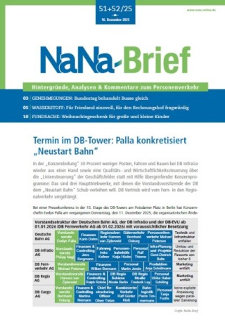 NaNa Brief NaNa Brief