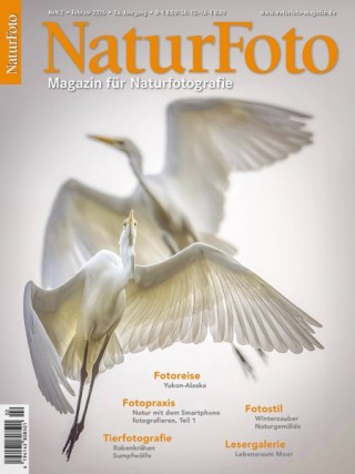 NaturFoto NaturFoto