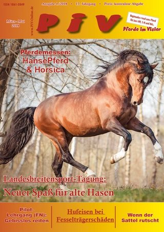 Pferde im Visier Pferde im Visier