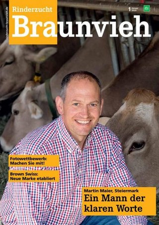 Rinderzucht Braunvieh Rinderzucht Braunvieh