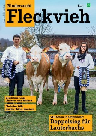 Rinderzucht Fleckvieh Rinderzucht Fleckvieh