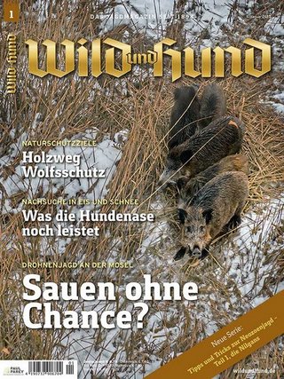 WILD UND HUND WILD UND HUND