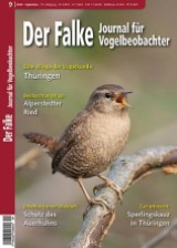 Der Falke