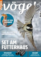 VÖGEL-Magazin für Vogelbeobachtung.