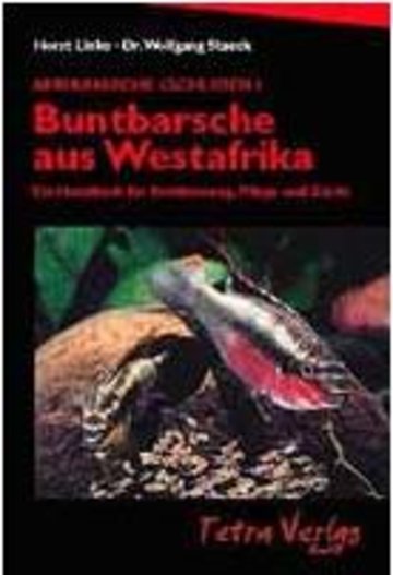 Buntbarsche aus Westafrika