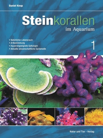 Steinkorallen im Aquarium – Band 1