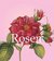 E-Book Rosen