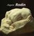 E-Book Auguste Rodin