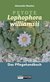 E-Book Peyote - Lophophora williamsii