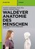 E-Book Waldeyer - Anatomie des Menschen
