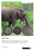 E-Book Britisches Kolonialgeld aus Ceylon. Beliebte Elefanten-Motive auf Kupfer- und Silbermünzen