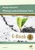 E-Book Biologie begreifen: Pflanzen und wirbellose Tiere