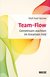 E-Book Team-Flow