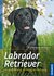 E-Book Labrador Retriever